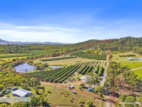 250 Newby Road Bondoola QLD 4703