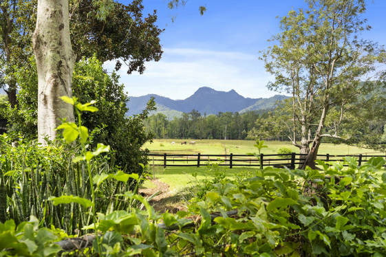 160 Upper Crystal Creek Road Upper Crystal Creek NSW 2484