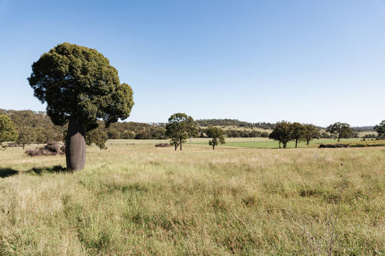 414 Red Tank Road Boyneside QLD 4610