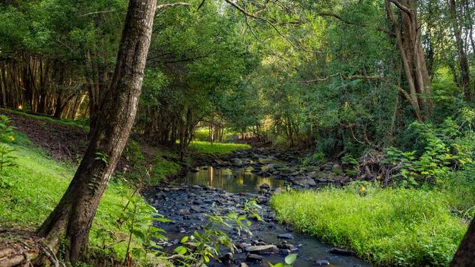 23 Ansell Road Witta QLD 4552