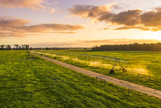 1131 Reservoir Road  Munro VIC 3862