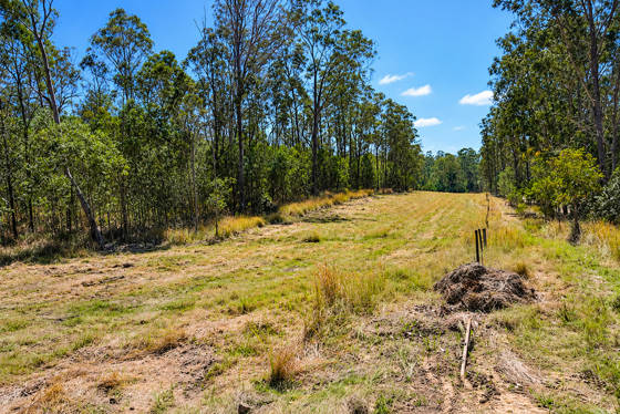 130 & 132 Mud Flat Road Drake NSW 2469