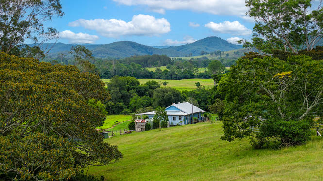 198 Bow Hill Road Dollys Flat NSW 2429