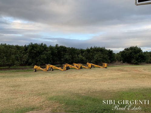 1611 Mareeba-Dimbulah Arriga QLD 4880