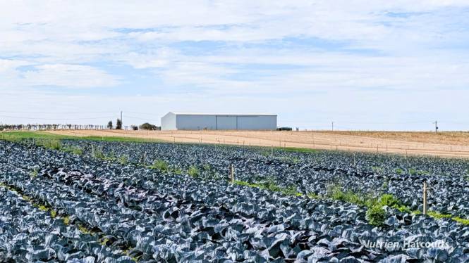 Lot 74 Croot Place Woodridge WA 6041