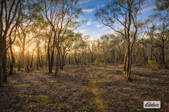  Hargreaves Road Emu Creek VIC 3551