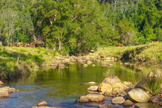 1635 Lorne Road Kerewong NSW 2439