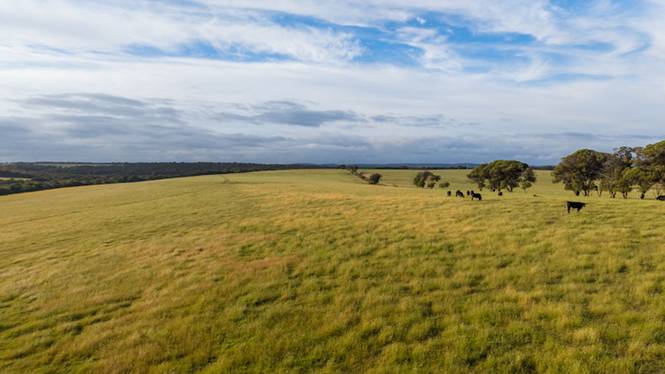 195 Gunn Road Drome WA 6330