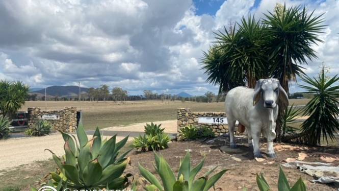 145 Midge Point Road Bloomsbury QLD 4799