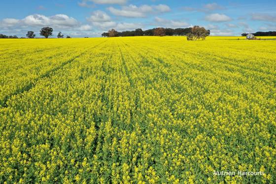 10986 Great Northern Highway New Norcia WA 6509