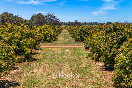 1086 Kaloorup Road, Kaloorup WA 6280