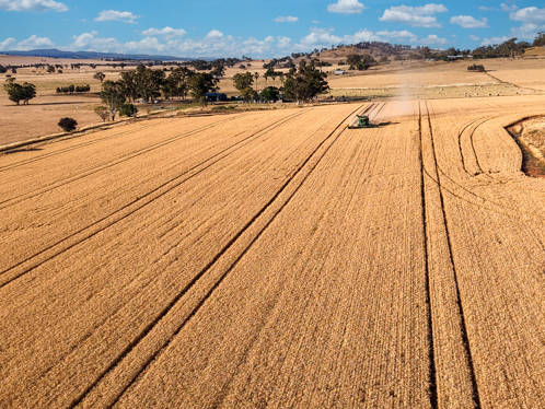 530 Billimari Road Cowra NSW 2794