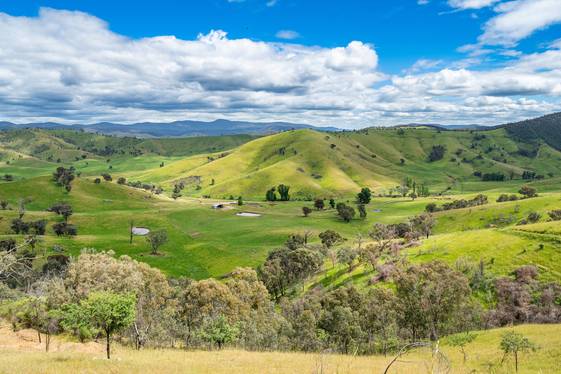 400 Horse Creek Road Jingellic NSW 2642