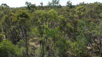 Farm Property for Sale -  Hills Road Maroondan QLD 4671