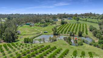 Farm Property for Sale - 53 Percival Road Chatsworth QLD 4570