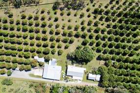 Farm Property for Sale - 3762 Kennedy Highway Mareeba QLD 4880