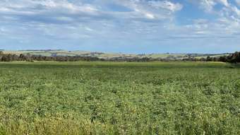 Farm Property for Sale -  Friend in Hand Road Stonehaven VIC 3218