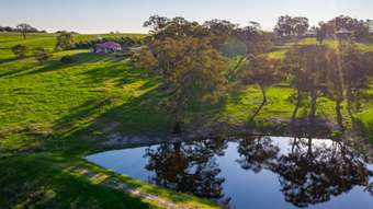 Farm Property for Sale - 201 Timber Ridge Road Walang NSW 2795