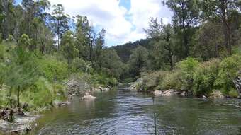 Farm Property for Sale - 640 Harness Cask Road Tyringham NSW 2453