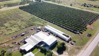 Farm Property for Sale - 192-200 Bartlett Road Horseshoe Lagoon QLD 4809