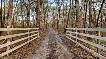 Farm Property for Sale - 200 Rowlers Road Snake Valley VIC 3351