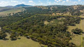 Farm Property for Sale - 51 Gallymont Road Mandurama NSW 2792