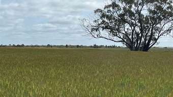 Farm Property for Sale - Dowerin WA 6461