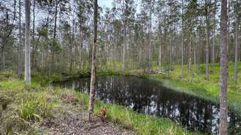 Farm Property for Sale - 178 Link Road Yarravel NSW 2440