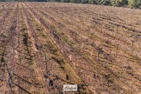 178 Arumpo Road Mourquong NSW 2739