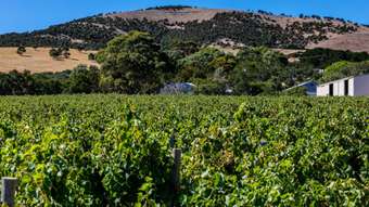 Farm Property for Sale - 409 Plains Road Sellicks Hill SA 5174