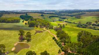 Farm Property for Sale - Chatham Valley NSW 2787