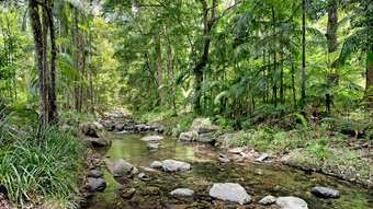 Farm Property for Sale - 1064 Aherns Road Conondale QLD 4552