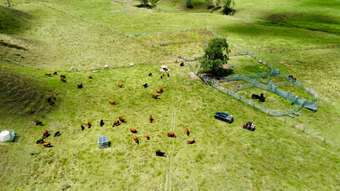 Farm Property for Sale - Monsildale QLD 4515