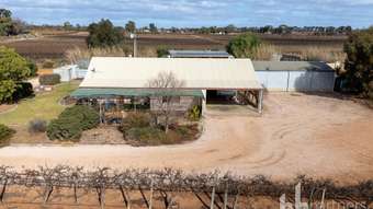 Farm Property for Sale - 254 Dunstone Road Barmera SA 5345
