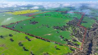 Farm Property for Sale - 334 McDonalds Road Lower Moira VIC 3639