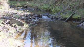 Farm Property for Sale - Neville NSW 2799