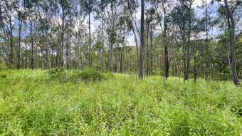 Farm Property for Sale - Lot 4 Gaeta Road Gaeta QLD 4671