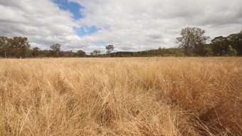 Farm Property for Sale - Lot 114 Kerwee Road Eidsvold QLD 4627