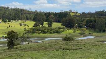 Farm Property for Sale - 343 Powley Road Barrine QLD 4872