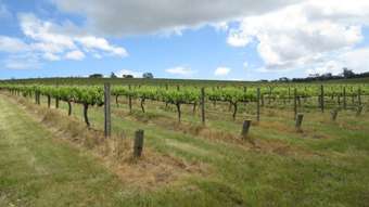 Farm Property for Sale - 407 Blewitt Springs Road Blewitt Springs SA 5171