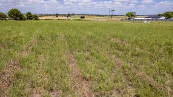Farm Property for Sale - Lot 10 Tipperary Road Moffatdale QLD 4605