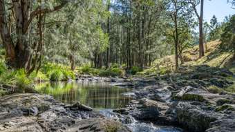 Farm Property for Sale - 1333 Bowman River Road Gloucester NSW 2422