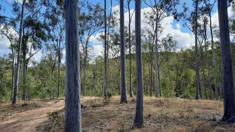 Farm Property for Sale - 931 Nearum Rd Nearum QLD 4671