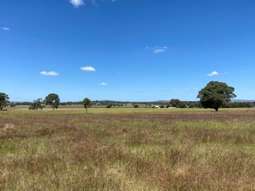 220 Castlereagh Highway Mudgee NSW 2850