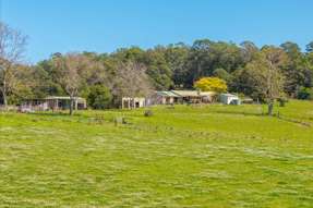 Farm Property for Sale - 102 Fishers Ridge Mortons Creek NSW 2446