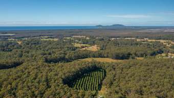 Farm Property for Sale - 137 Browns Road Barraganyatti NSW 2441