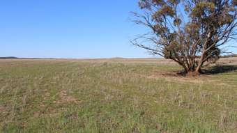 Farm Property for Sale - Section 10 Marama Road Marama SA 5307