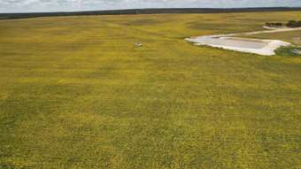 Farm Property for Sale - Watsons East, Canny Road Lake King WA 6356