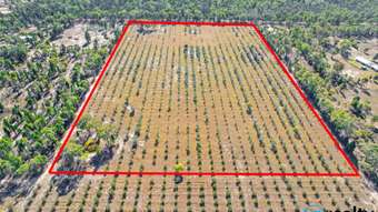 Farm Property for Sale - Lot 49 Wombinebong Drive Millmerran Downs QLD 4357