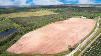 Farm Property for Sale - 322 Fassio Road Mareeba QLD 4880